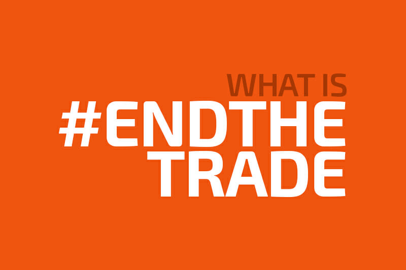 End the Pangolin trade