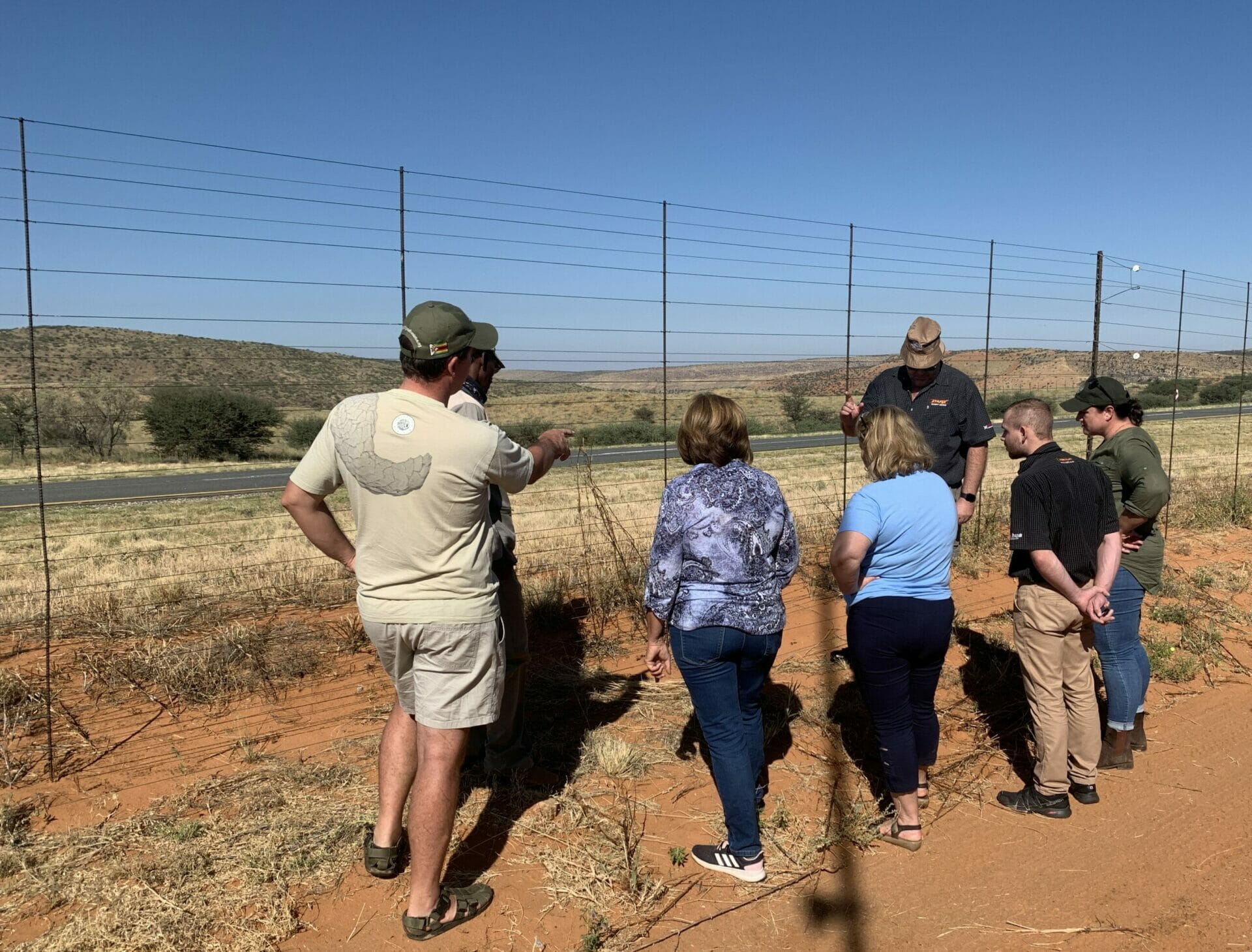 Pangolin-friendly electric fence