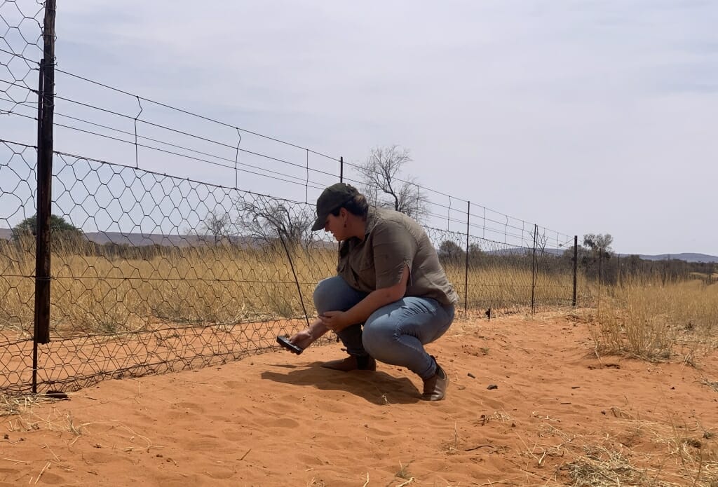 Pangolin-friendly electric fence