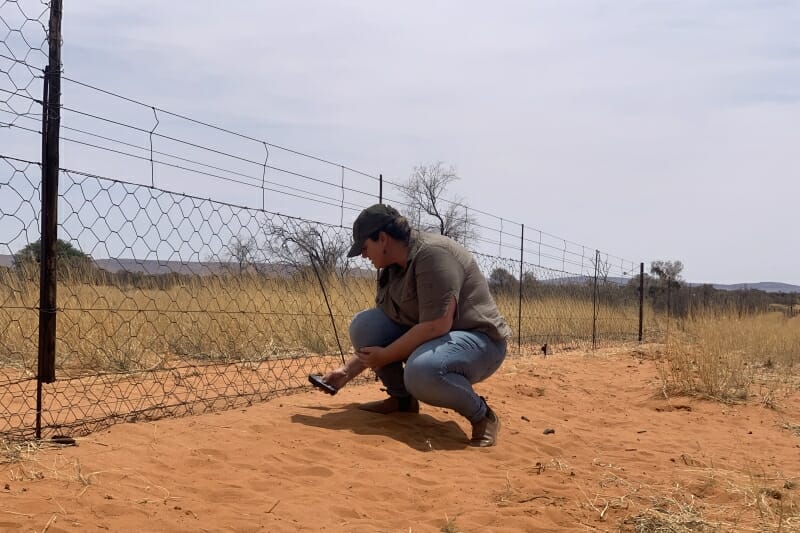 Pangolin-friendly fence