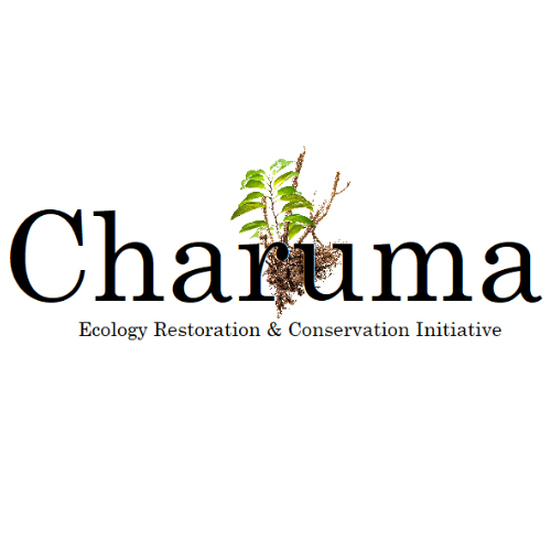 charuma new