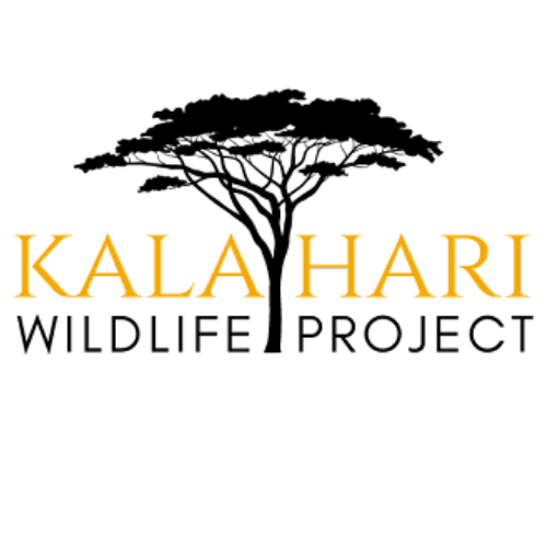 kalahari wildlife project