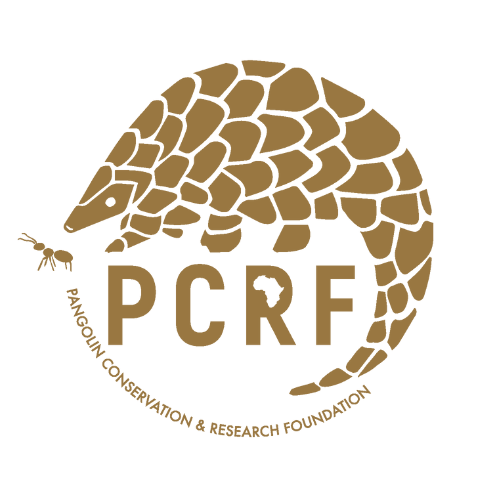 new pcrf 1