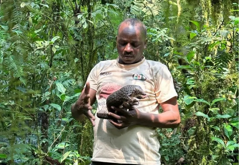 moses pangolin guardians hero