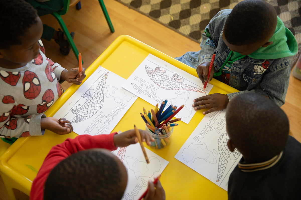 pangolin africa education