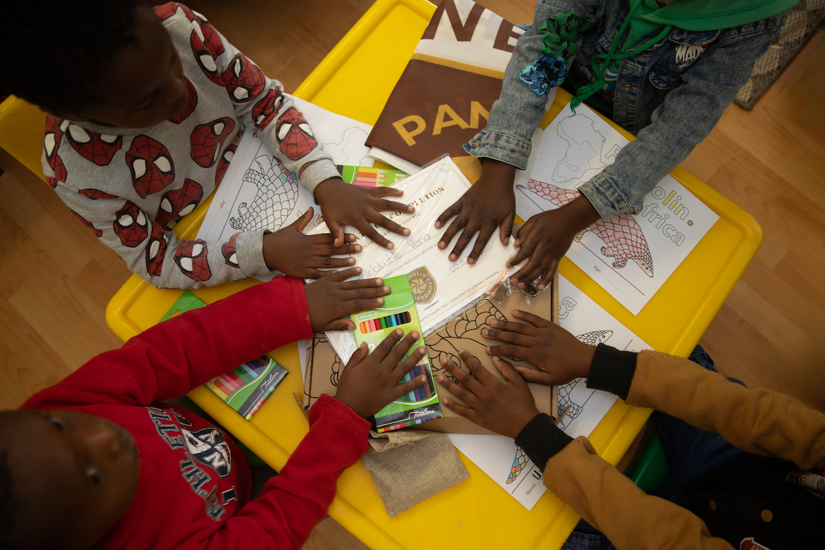 pangolin africa education